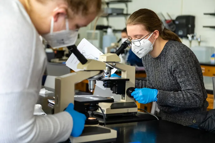 Female student looking through a microscope