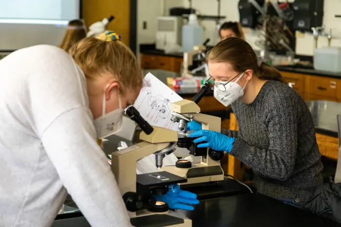 Students on microscopes in a lab