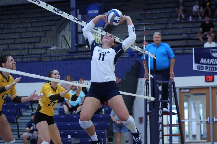 Volleyball player sets the ball