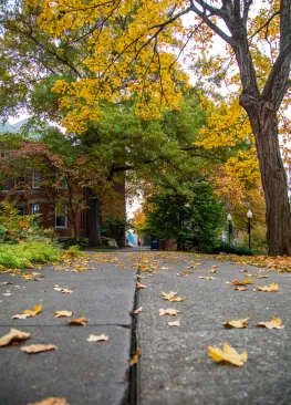 Autumn leaves on the ground at Marietta College